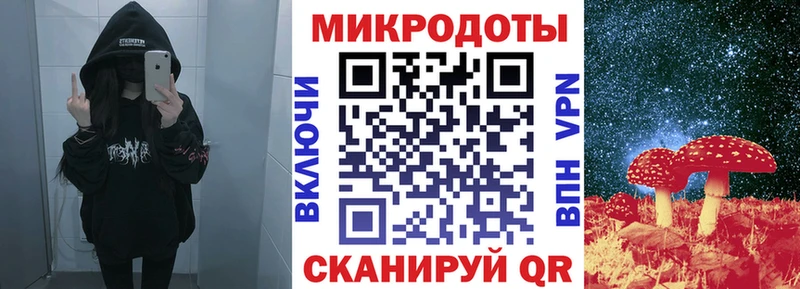 где продают наркотики  Высоцк  Галлюциногенные грибы мицелий 