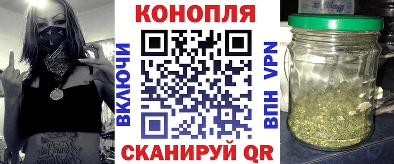 Бошки Шишки семена  купить наркотик  OMG зеркало  Высоцк 